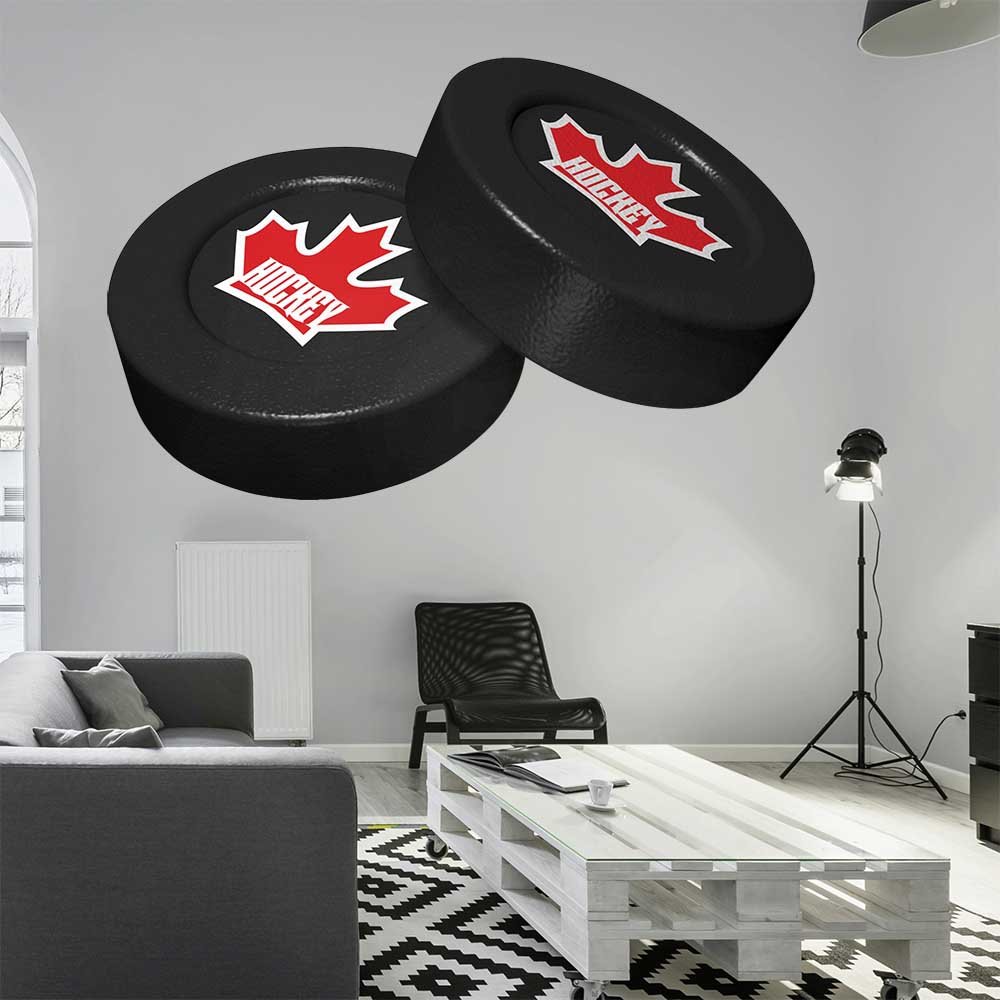 50.5x84 inch Dual Puck Decal Installed in Living Room