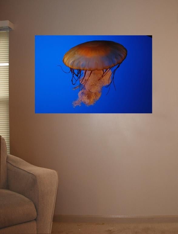 Guernsey Jellyfish II Glossy Poster (5 Sizes Available)