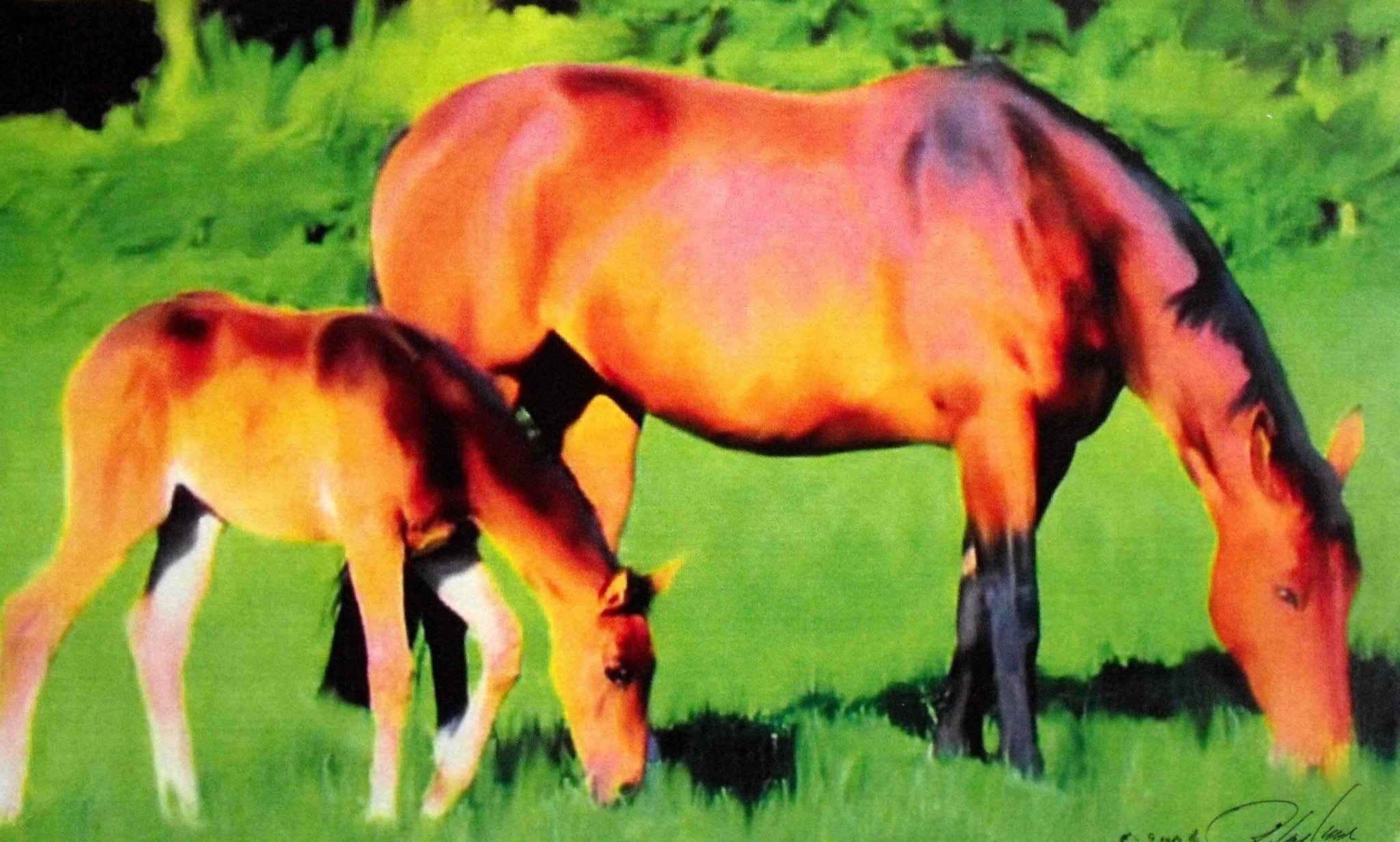 🐎 Tymeless Wonders Mare & Foal Glossy Poster (3 Sizes Available)