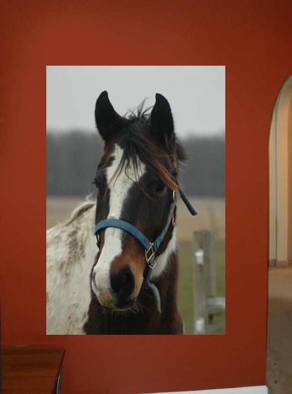 Guernsey Horse Glossy Poster (5 Sizes Available)