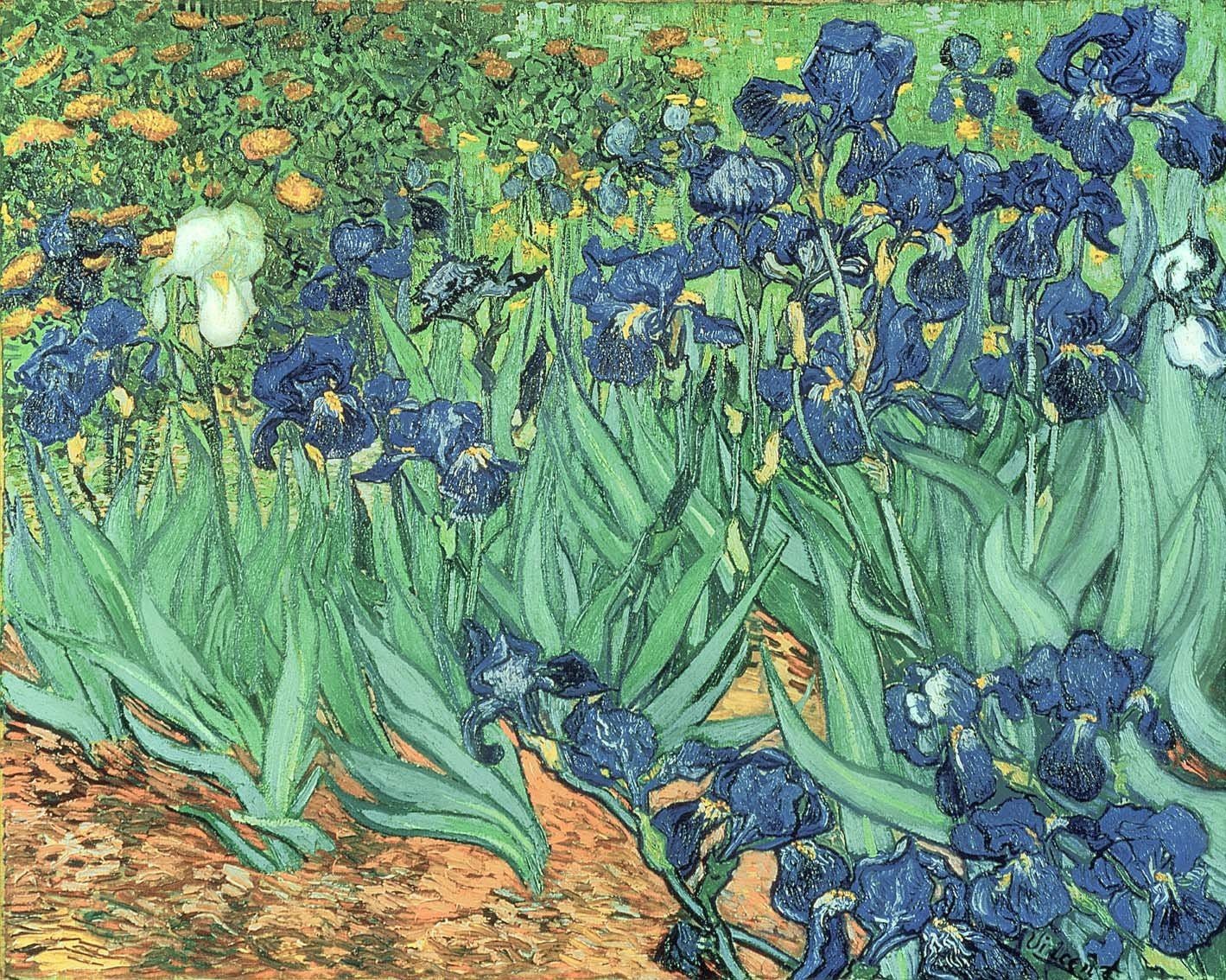 Van Gogh 