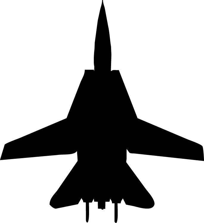 F-14 Tomcat military jet silhouette wall decal artwork by Jaycee Haynes