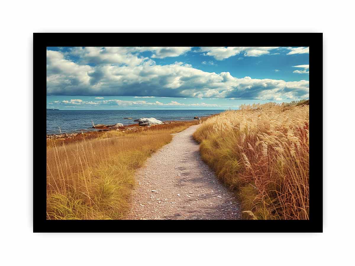Beach Path Framed Print-2