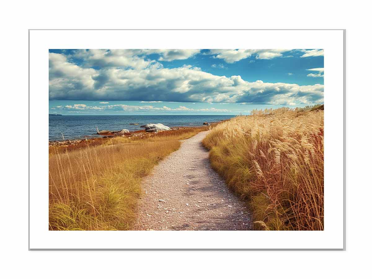 Beach Path Framed Print-3