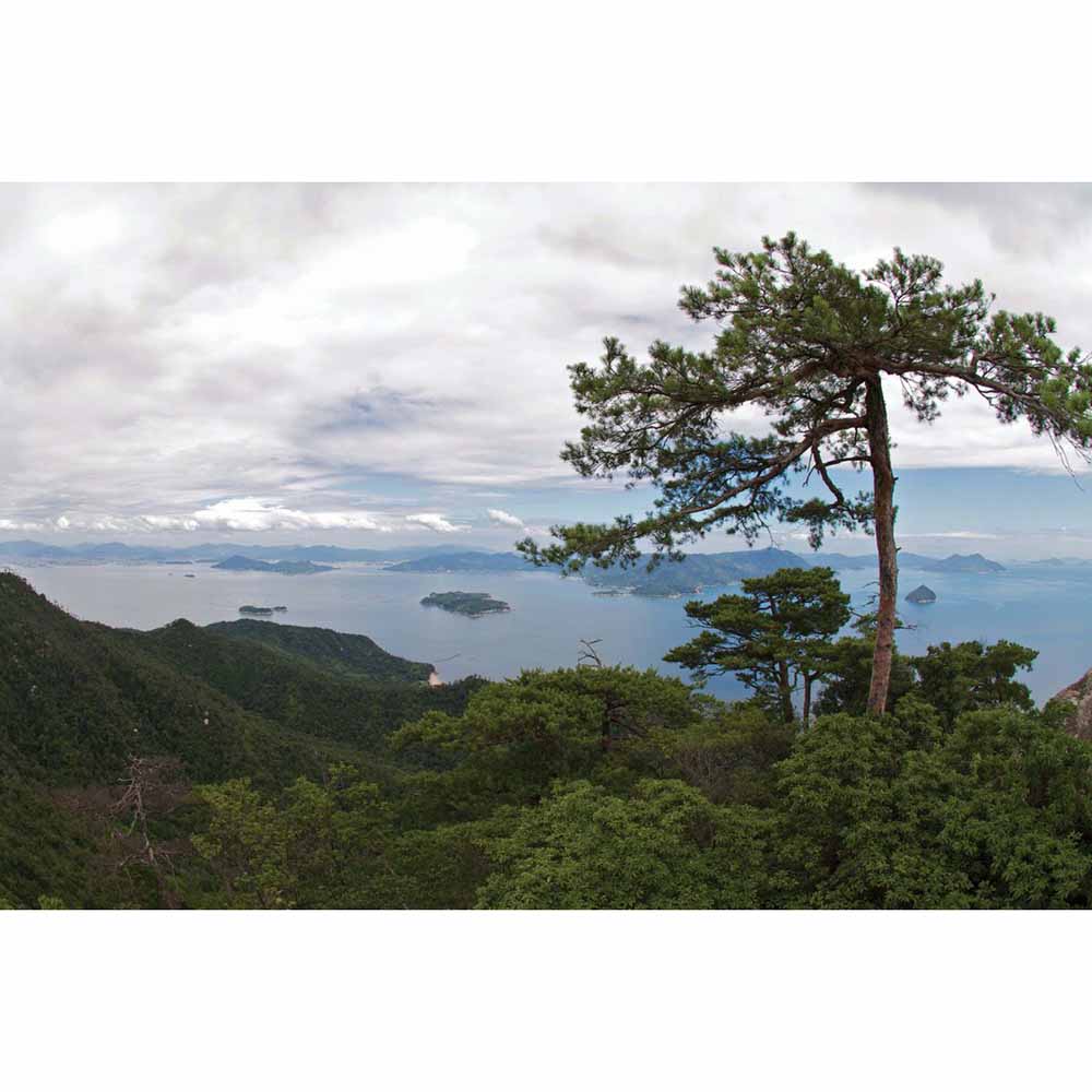 Island Hideaway Wall Decal Printed | Wallhogs