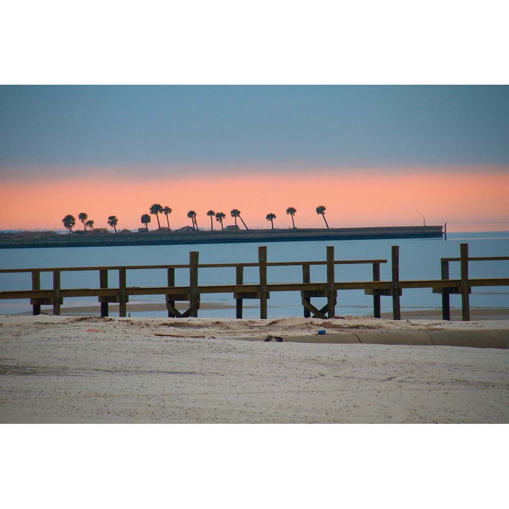 Palms Rising Beach Gloss Poster Printed | Wallhogs