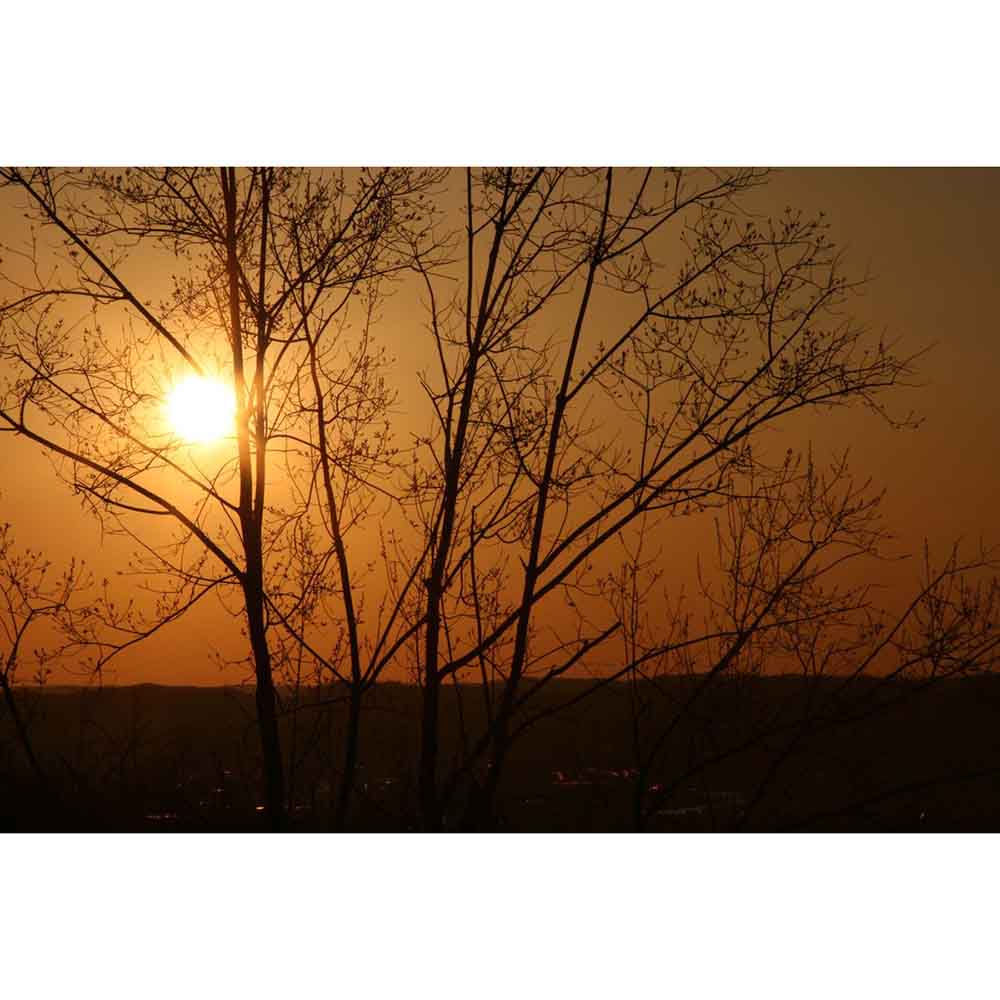 Sunset Wall Decal Printed | Wallhogs