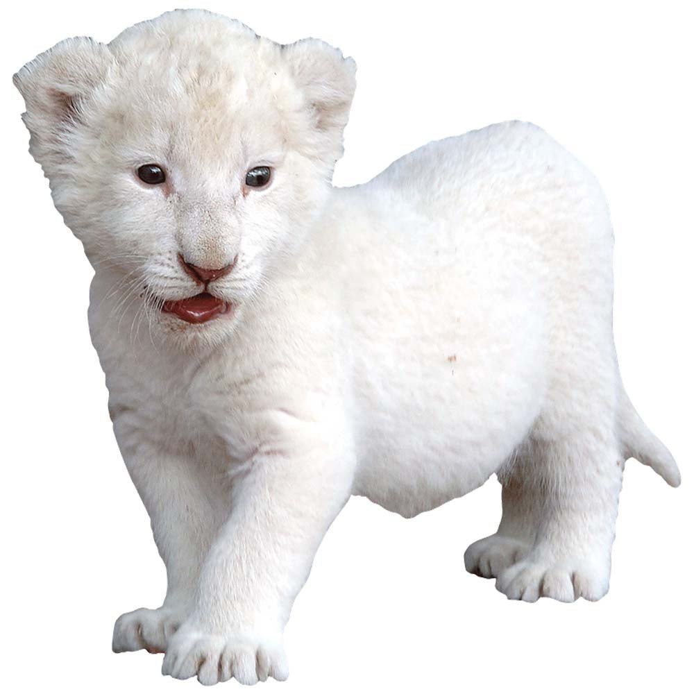Baby Lion Cub Wall Decal Printed | Wallhogs