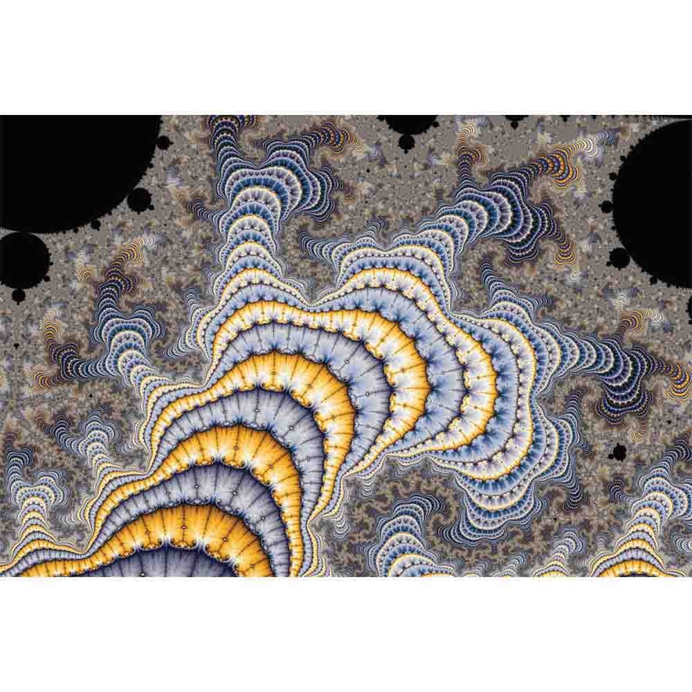 Fractal Plates Art Wall Decal Printed | Wallhogs