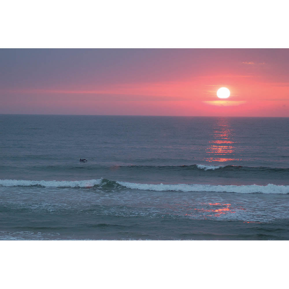 Sunset II Wall Decal Printed | Wallhogs