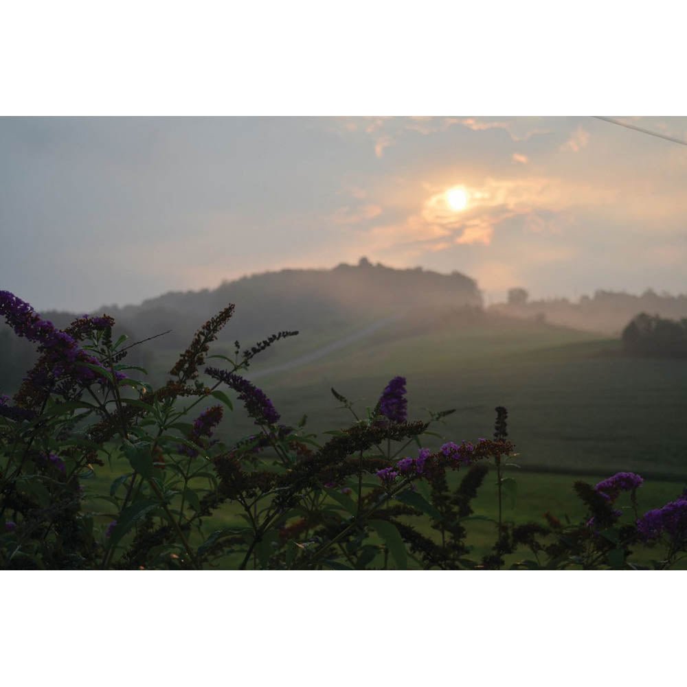 Sunset Heaven Wall Decal Printed | Wallhogs