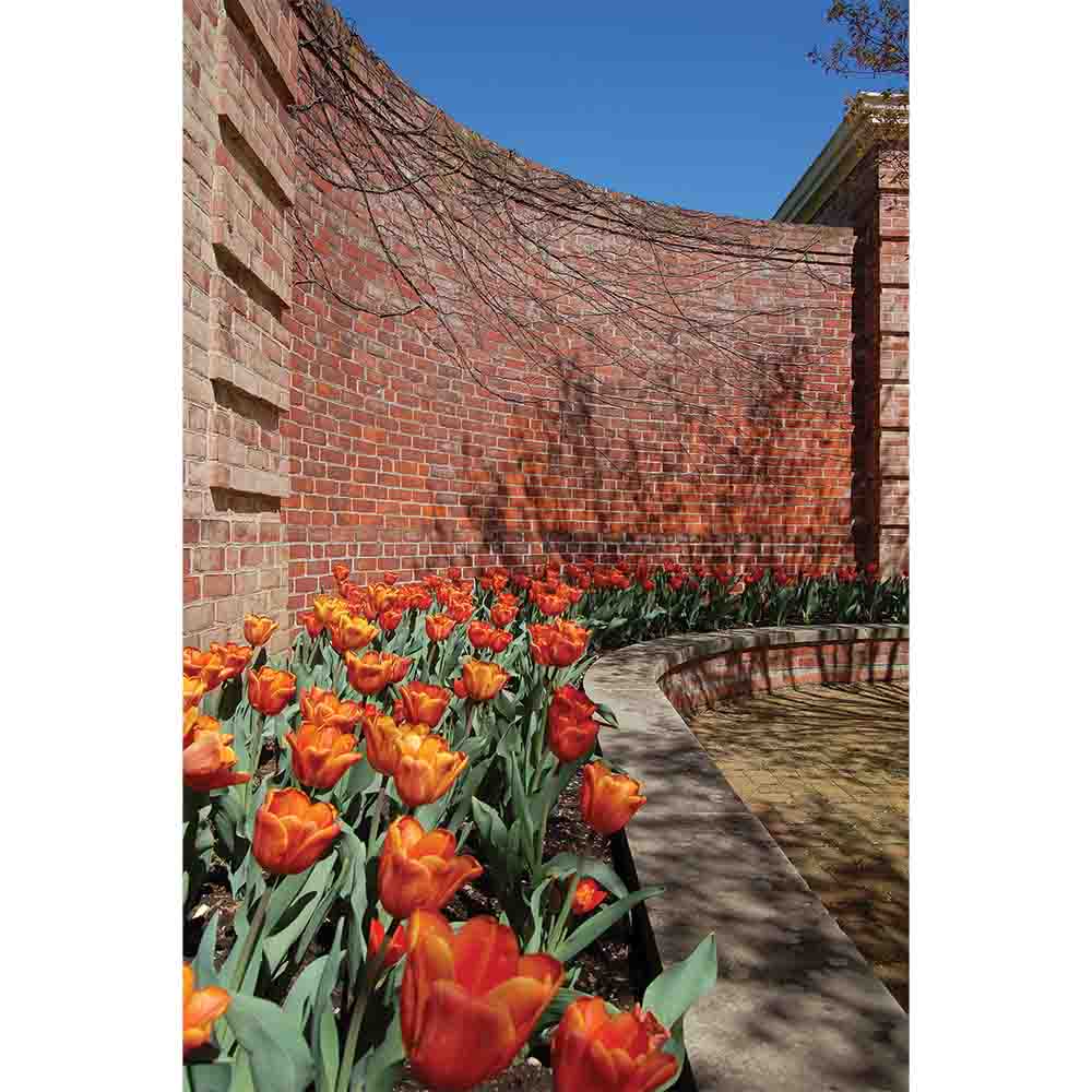 Wall II Gloss Poster Printed | Wallhogs