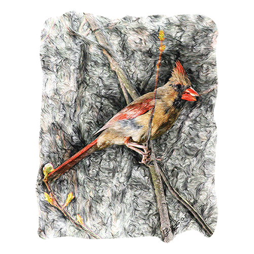 Cardinal Wall Decal Printed | Wallhogs