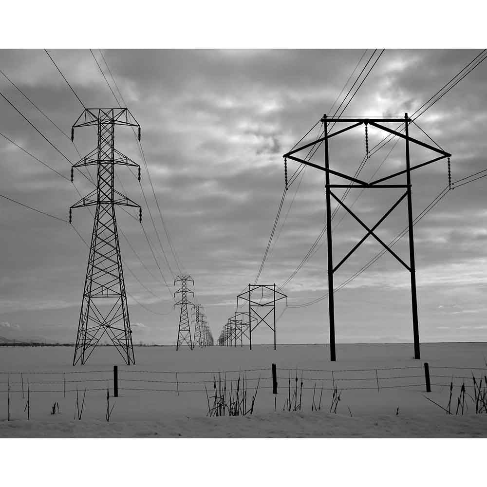 Power Lines Wall Decal Printed | Wallhogs