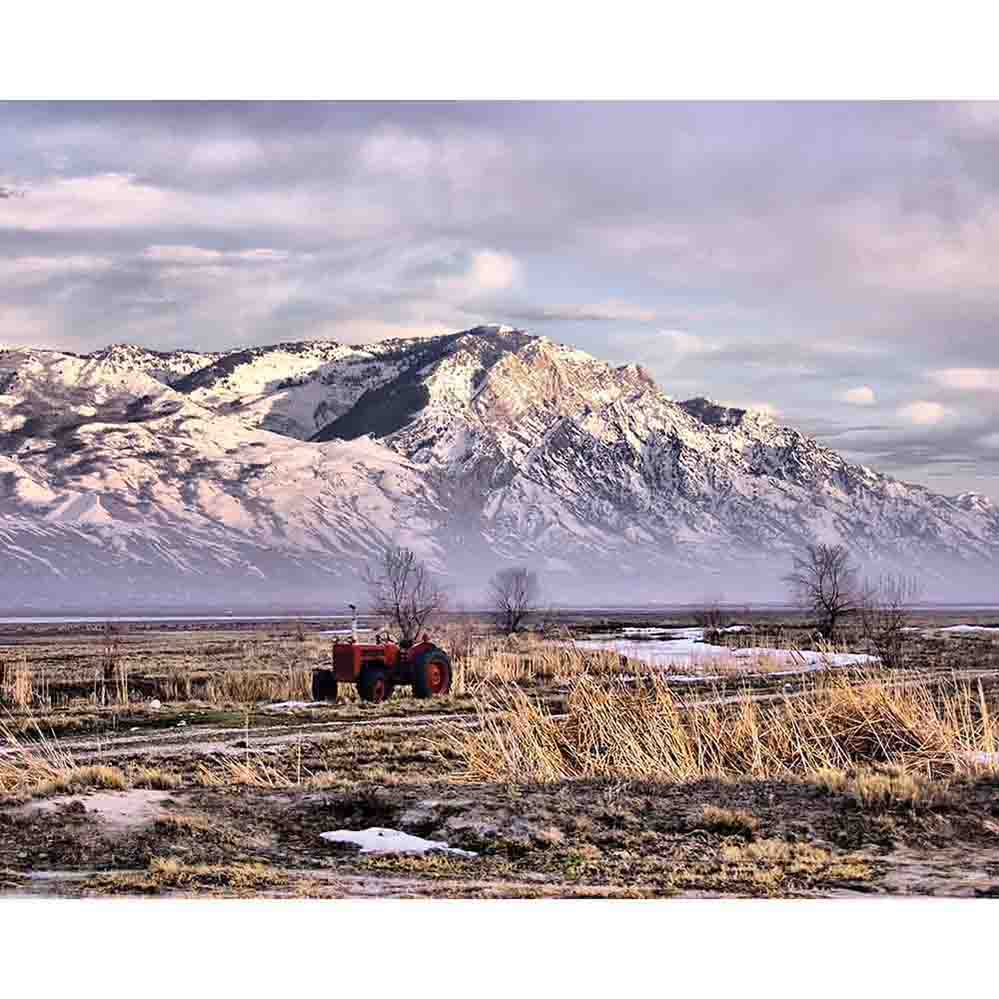 Rocky Mountain Tractor Wall Decal Printed | Wallhogs