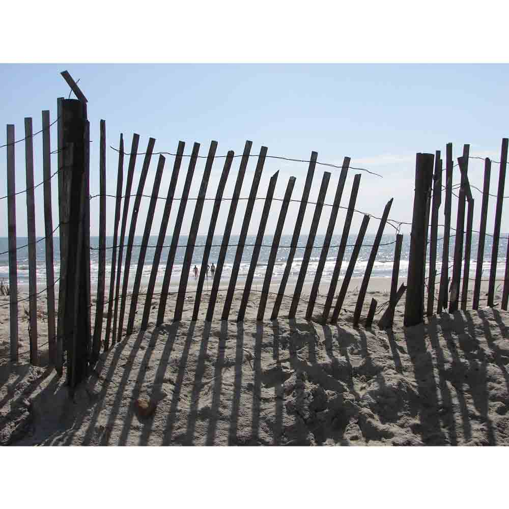 Beach Fence Gloss Poster Printed | Wallhogs