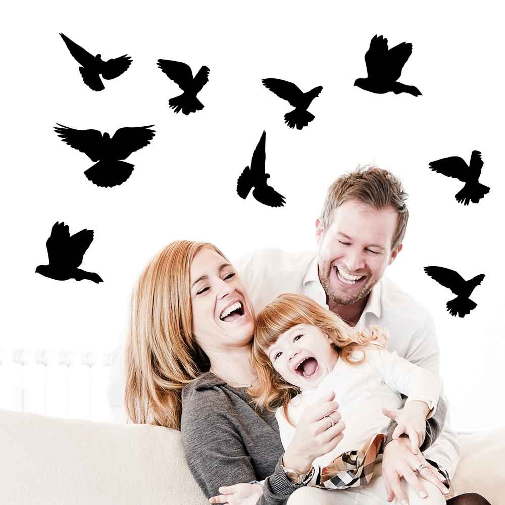 Black Mixed Birds Silhouette Wall Decals Installed in Living Room