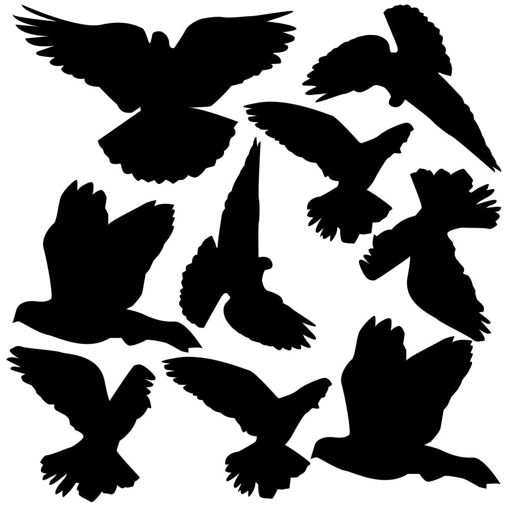 Black Mixed Birds Silhouette Wall Decals Printed