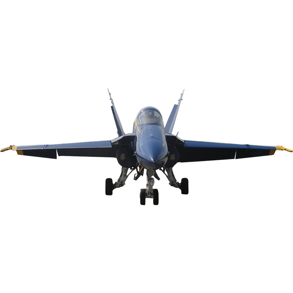 US Navy Blue Angel F-18 Hornet Printed