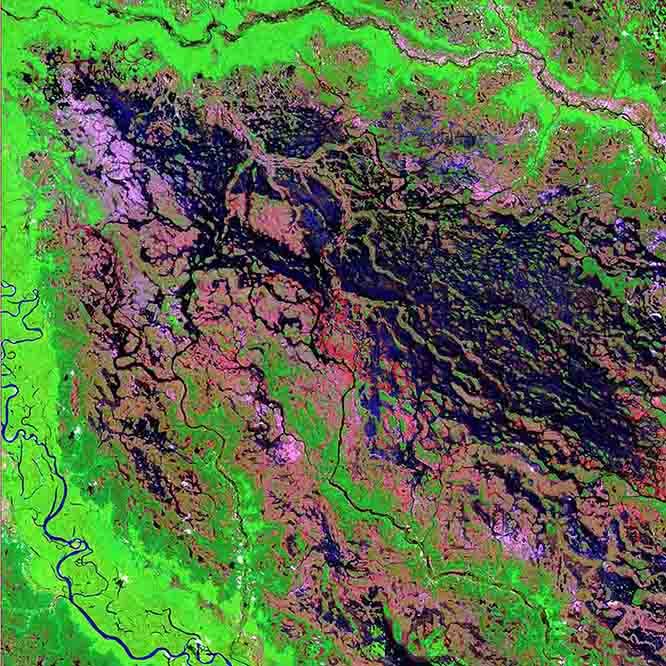 Demini Satellite Wall Decal Printed | Wallhogs