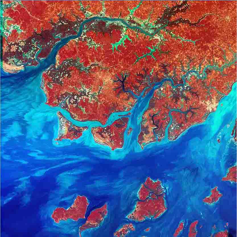 Guinea Satellite Wall Decal Printed | Wallhogs