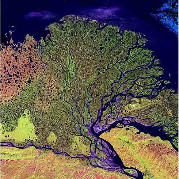 Lena Satellite Wall Decal Printed | Wallhogs