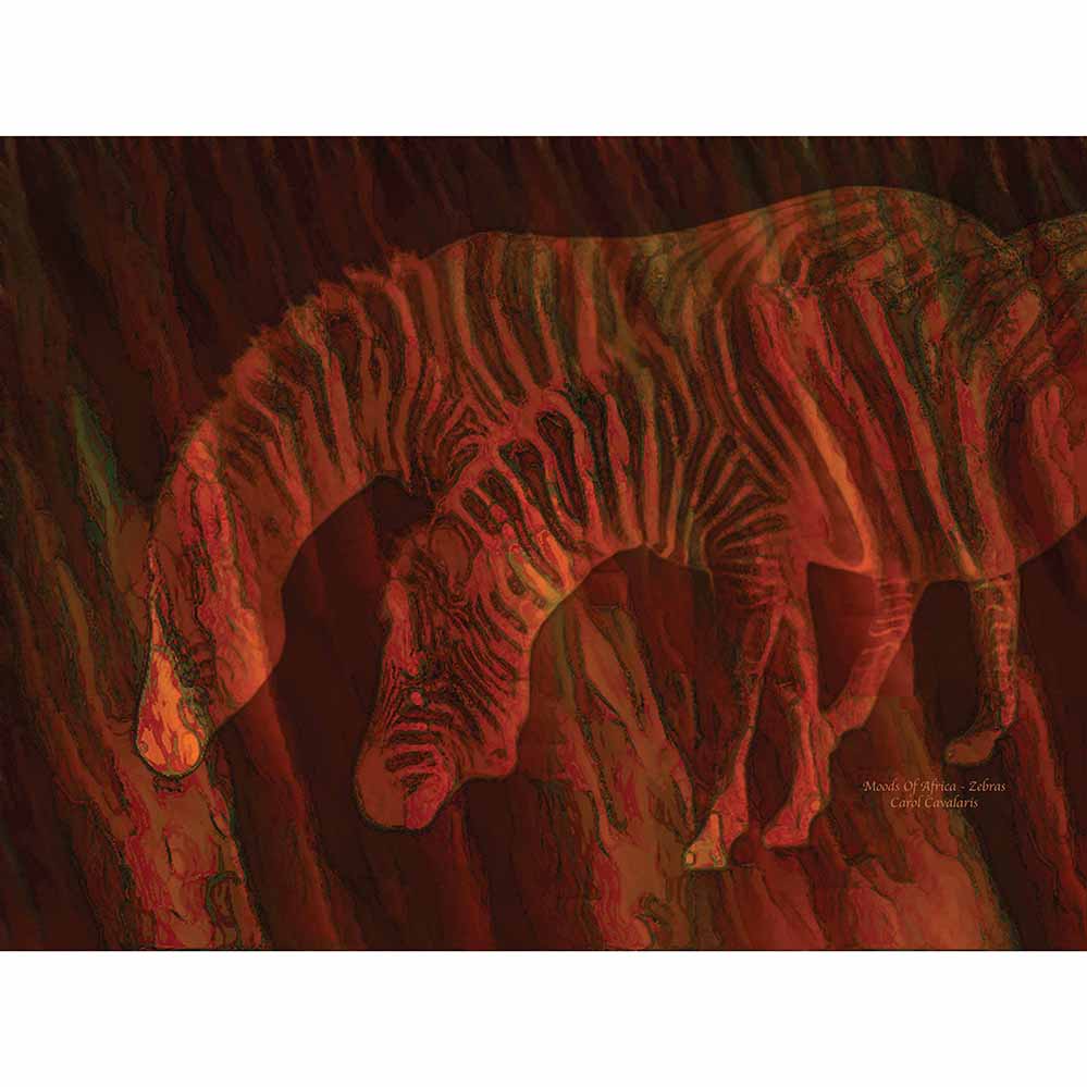 Moods Of Africa Zebras Gloss Poster Printed | Wallhogs