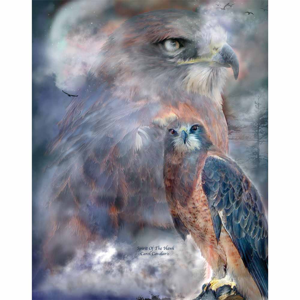 Spirit of the Hawk Gloss Poster Printed | Wallhogs