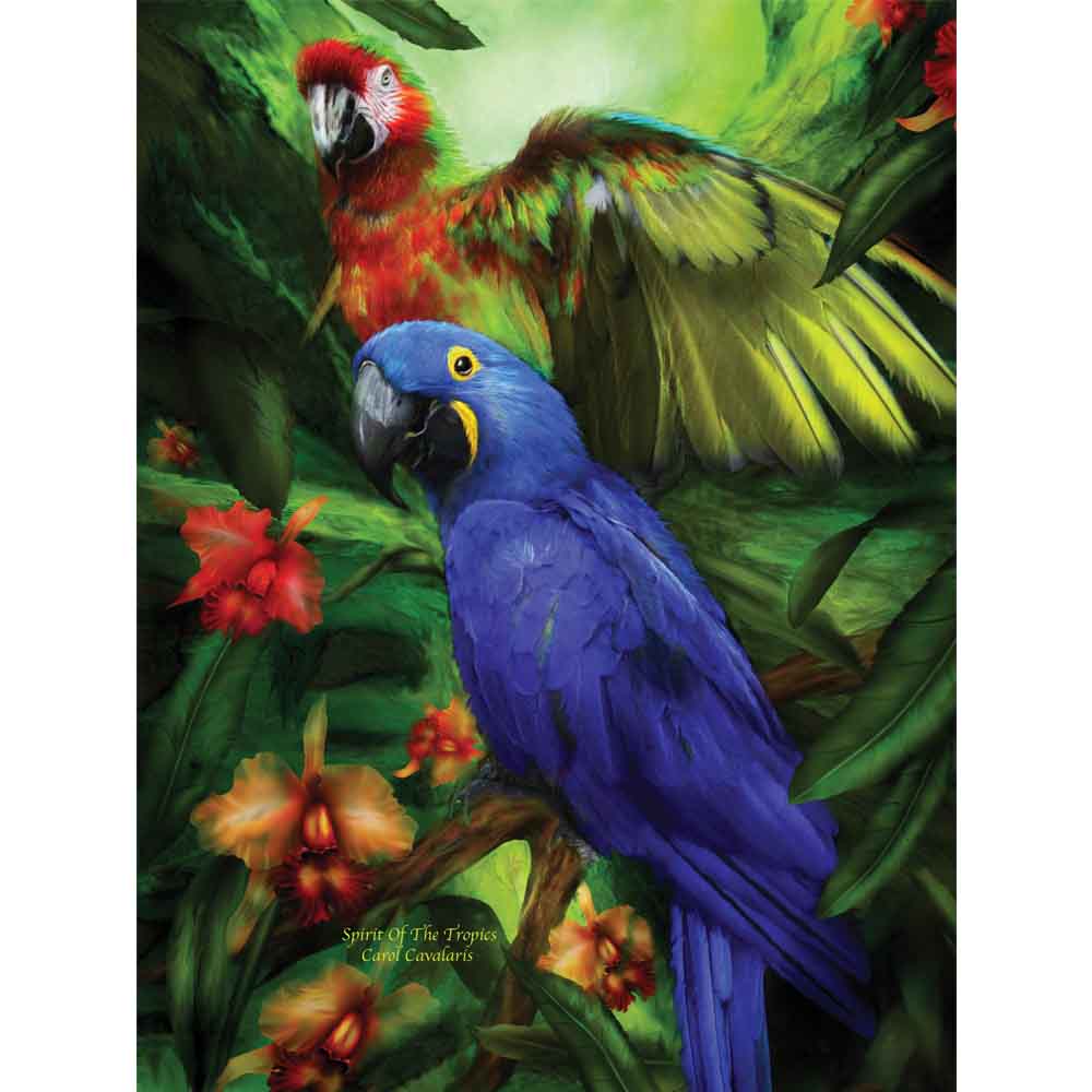 Spirit of the Tropics Gloss Poster Printed | Wallhogs