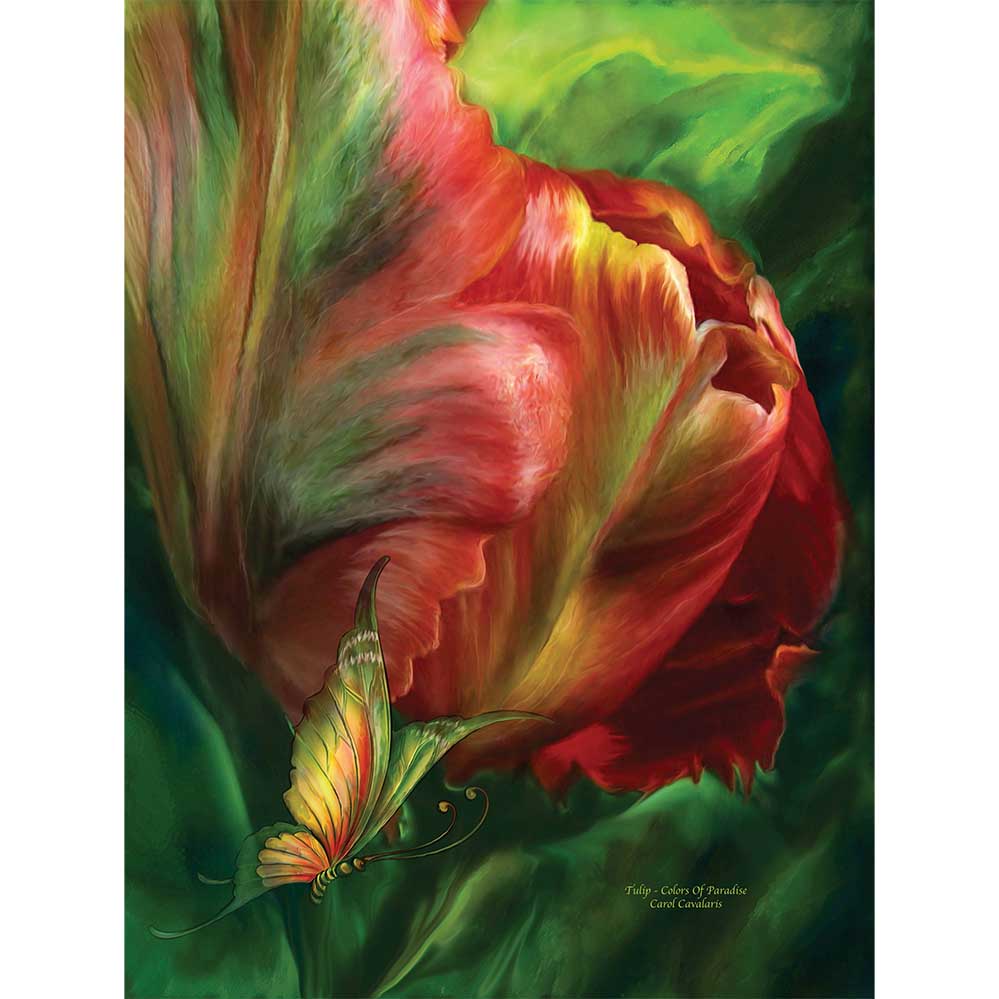 Tulips Colors Of Paradise Gloss Poster Printed | Wallhogs