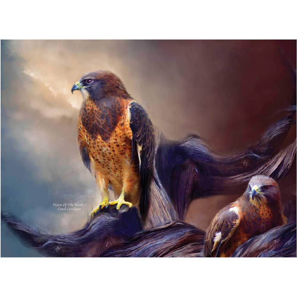 Vision of the Hawk II Gloss Poster Printed | Wallhogs