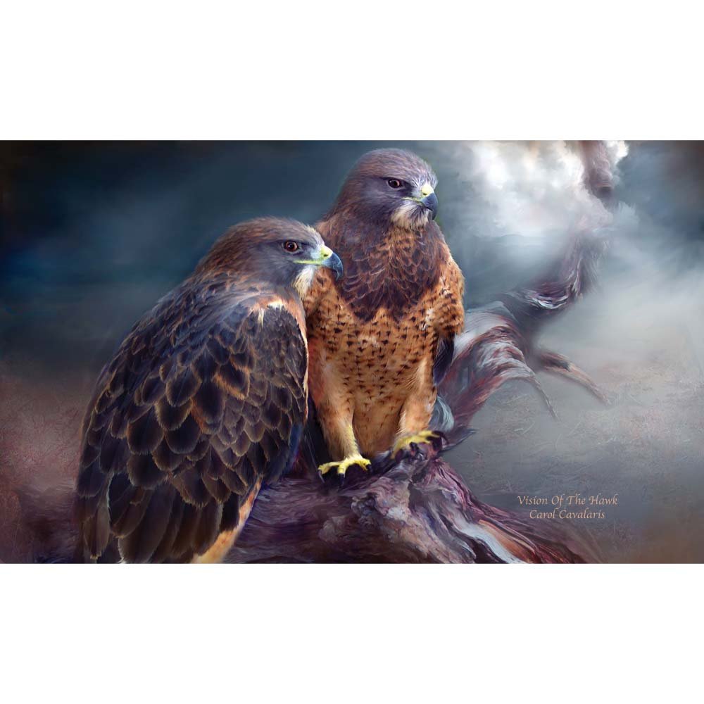 Vision of the Hawk Wall Decal Printed | Wallhogs