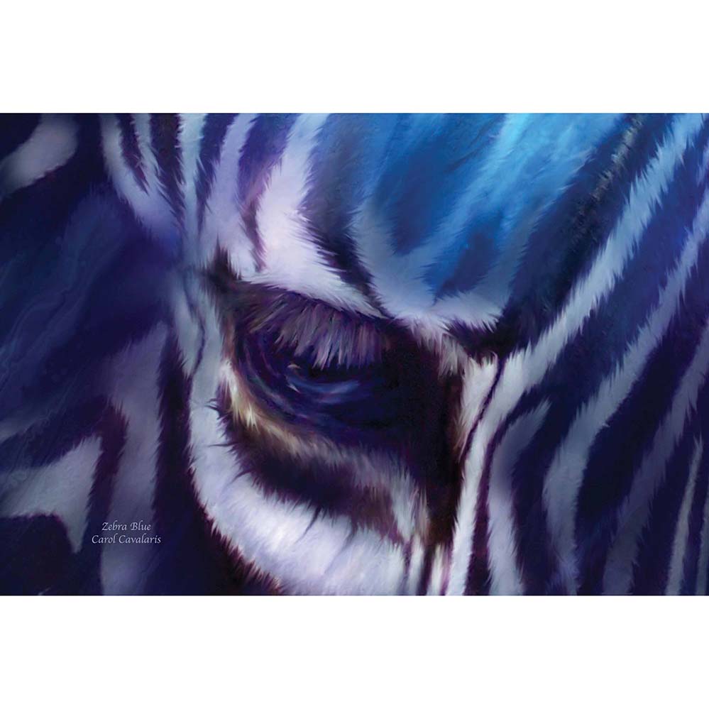 Zebra Blue Gloss Poster Printed | Wallhogs