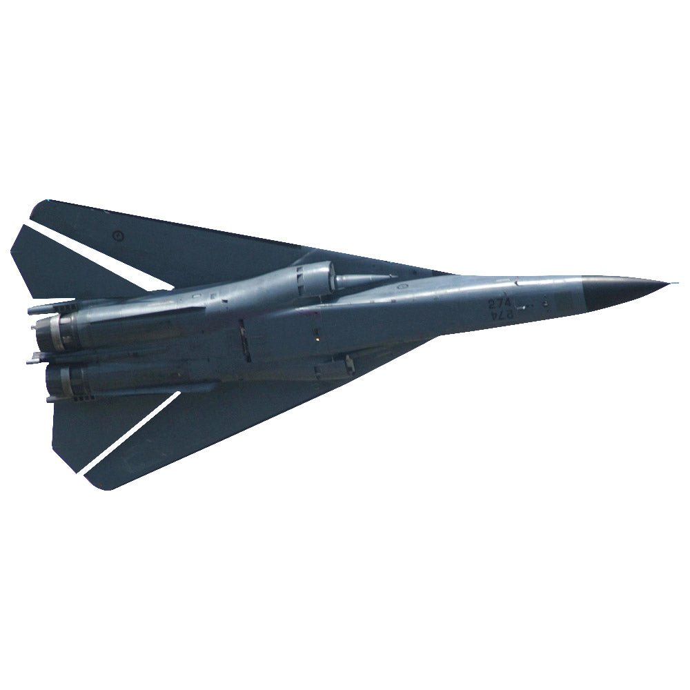 F-111 Aardvark Die-Cut Wall Decal Printed | Wallhogs