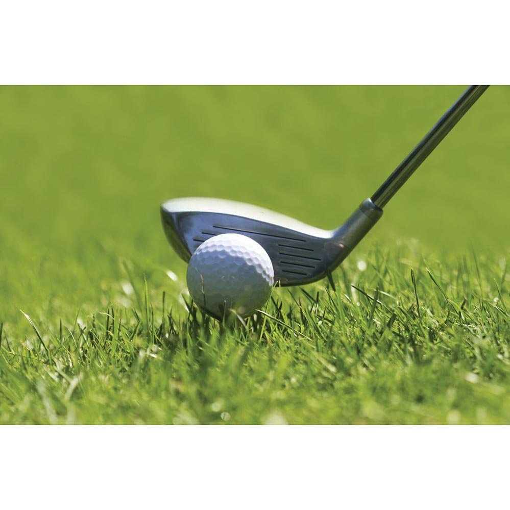 Fairway Drivin' Wall Decal Printed | Wallhogs