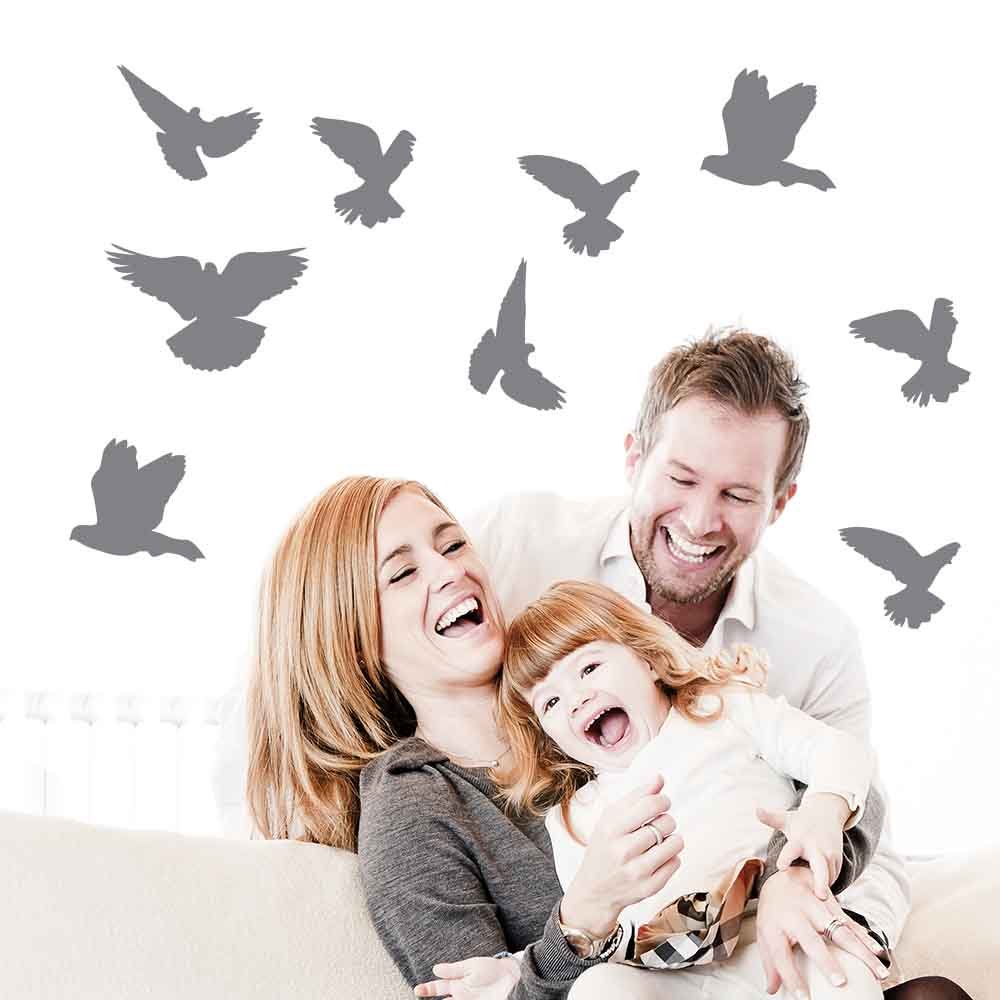 Gray Mixed Birds Silhouette Wall Decals Installed in Living Room