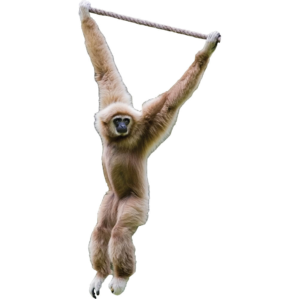 Monkey Hanging On Rope Wall Decal Printed | Wallhogs