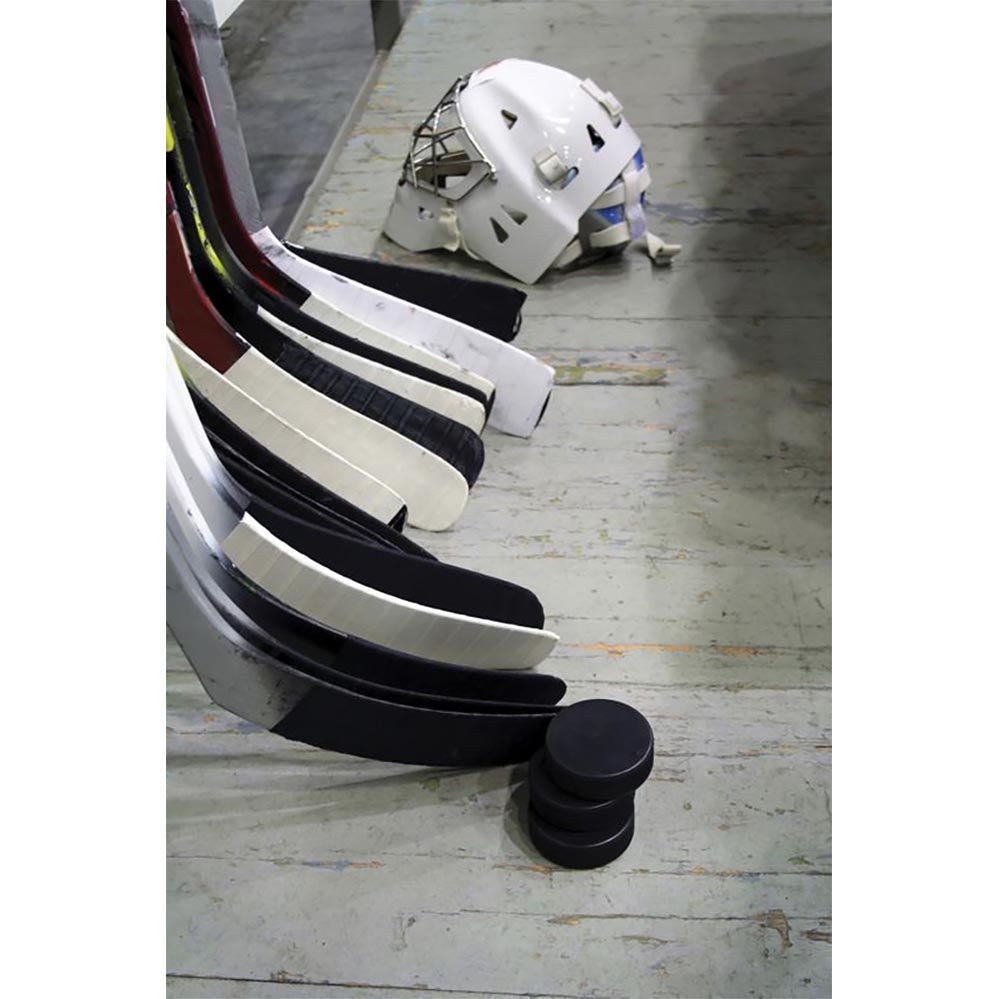 Hockey Equipment Gloss Poster Printed | Wallhogs