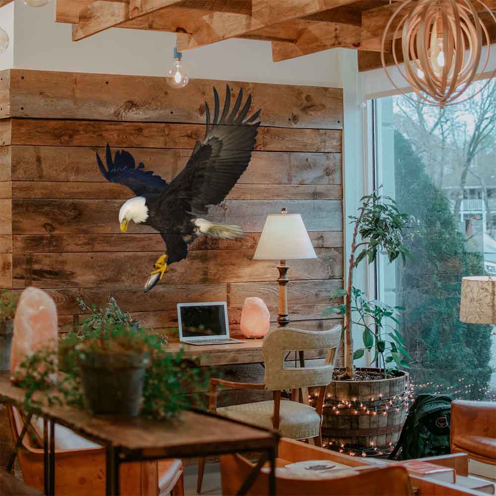 36 inch Hunting Eagle Die-Cut Decal Installed Above Desk