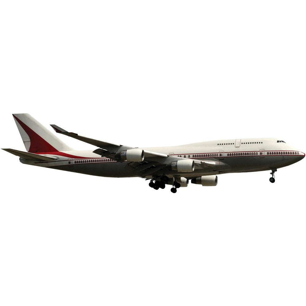 Jumbo Jet Wall Decal Printed | Wallhogs