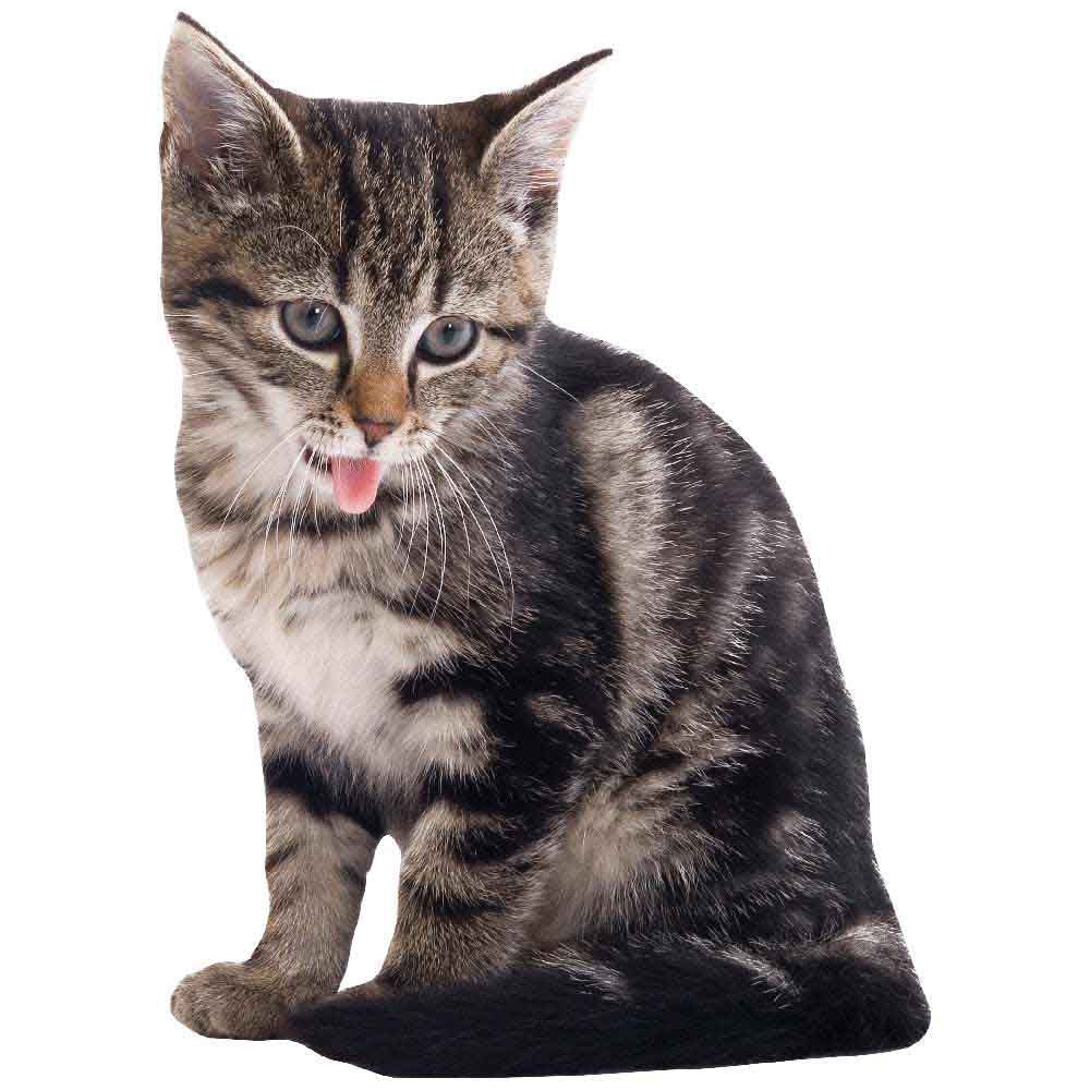 Manx Kitten Die-Cut Wall Decal Printed | Wallhogs