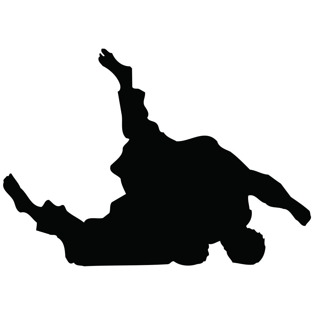 Martial Arts Judo Silhouette Wall Decal Printed