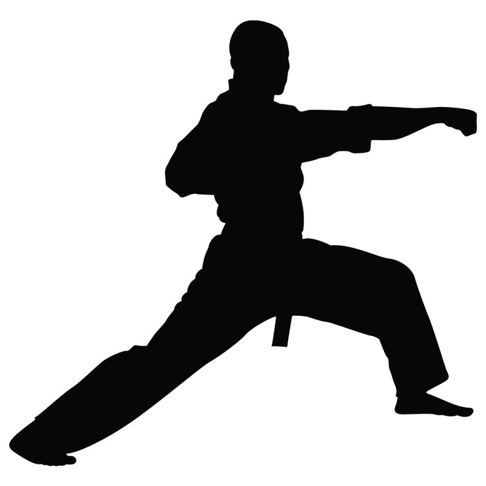Martial Arts Lunge Silhouette Wall Decal Printed