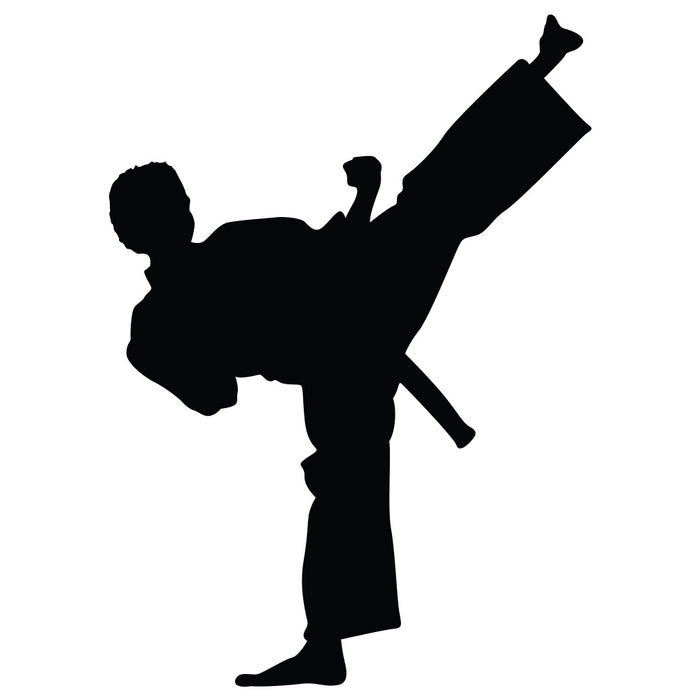 Martial Arts Side Kick Silhouette Wall Decal Printed