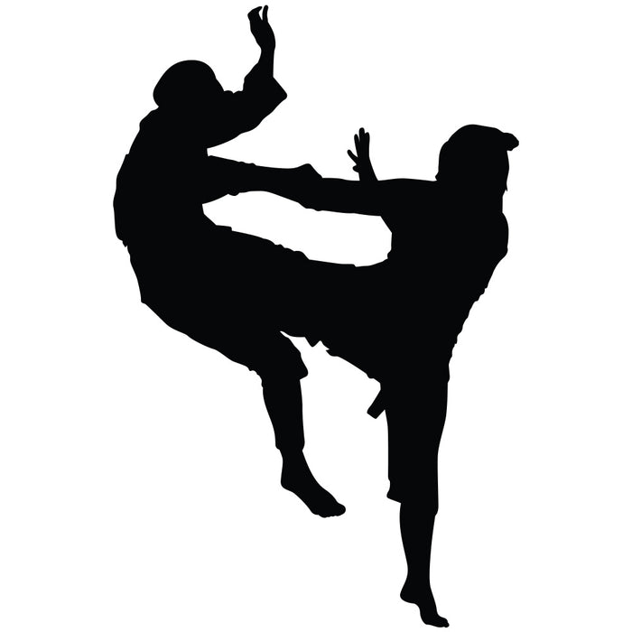 Martial Arts Sparring Silhouette Wall Decal Printed