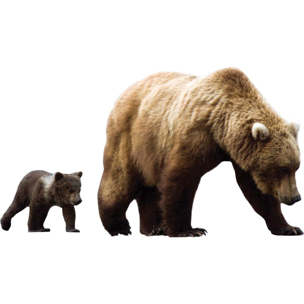 Mama Bear & Cub Die-Cut Wall Decal Printed | Wallhogs