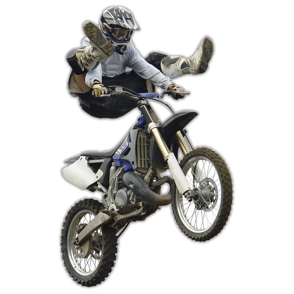 Shaolin Trick Wall Decal Printed & Die-Cut | Wallhogs