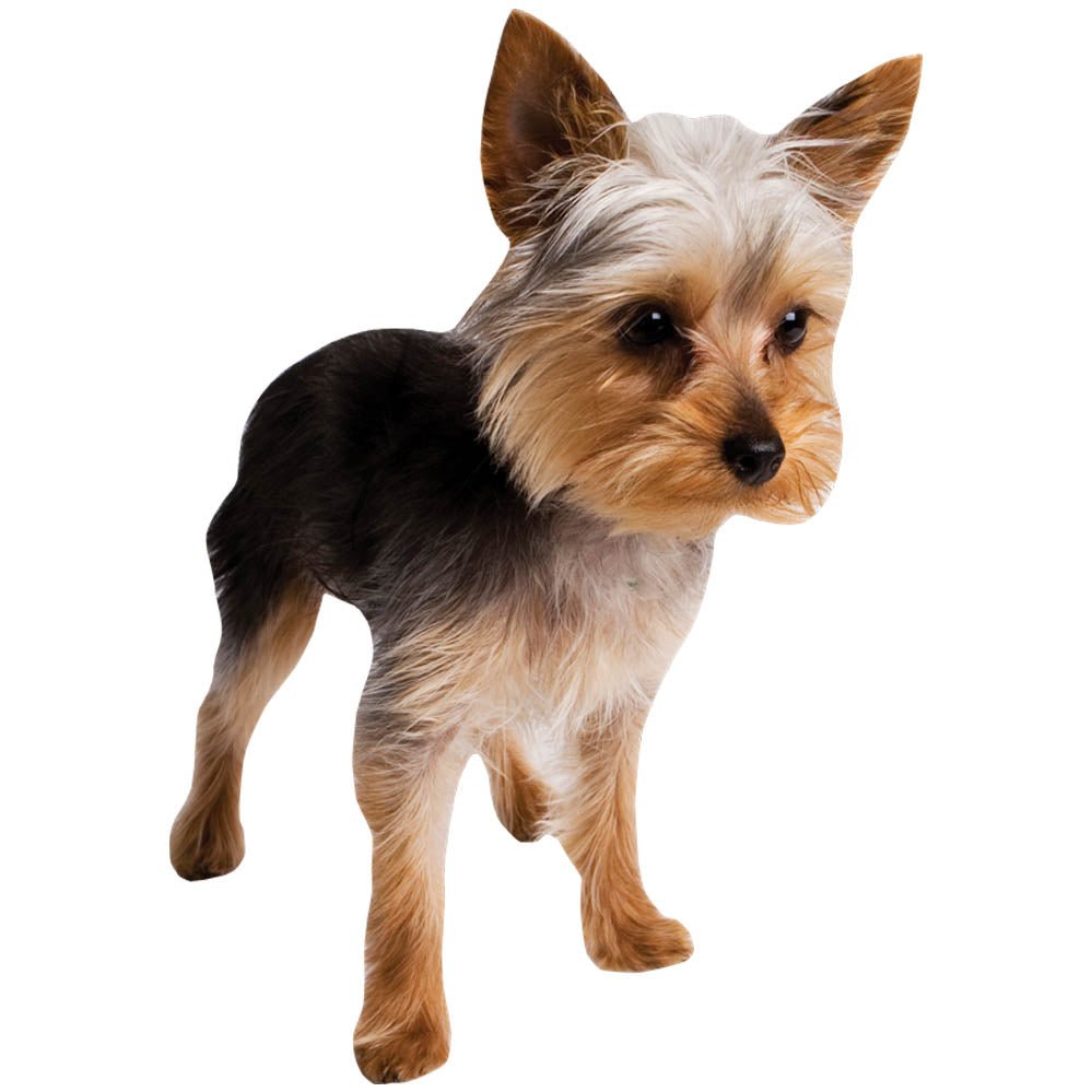 Terrier Puppy Wall Decal Printed & Die-Cut | Wallhogs