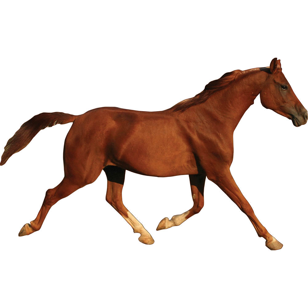 Trotting Horse Die-Cut Wall Decal Printed | Wallhogs