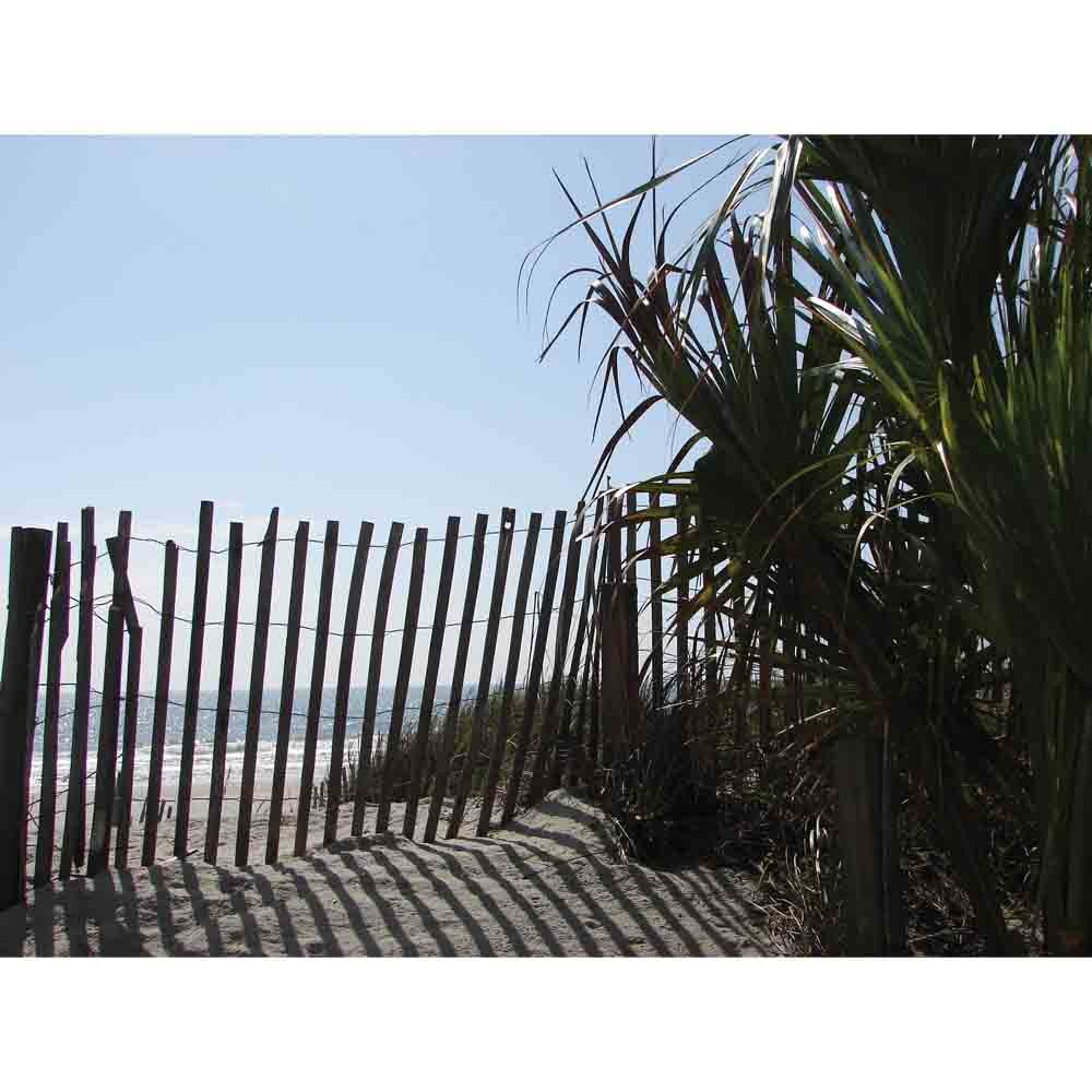 Beach Jungle Wall Decal Printed | Wallhogs